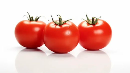 الطماطم تلتحق بصفوف "المجوهرات" وتلامس 18 درهماً للكيلوغرام الواحد الطماطم تلتحق بصفوف "المجوهرات" وتلامس 18 درهماً للكيلوغرام الواحد