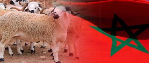 فلكيا.. هذا هو الموعد المرتقب لعيد الأضحى 2026 في المغرب