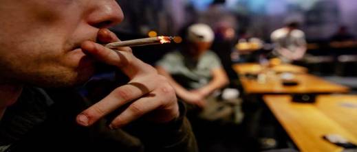 هولندا تغير قواعد اللعبة بسبب التقنين.. والقنب المغربي يفقد جزءا من بريقه