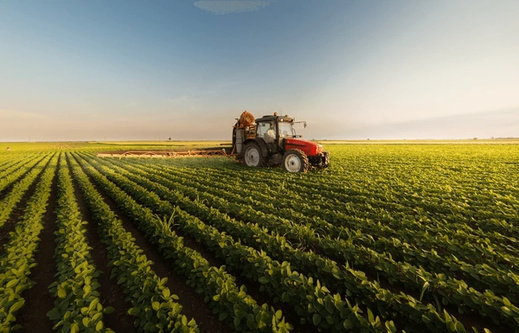 المغرب ضمن برنامج أمريكي بـ226 مليون دولار لدعم القطاع الفلاحي المغرب ضمن برنامج أمريكي بـ226 مليون دولار لدعم القطاع الفلاحي