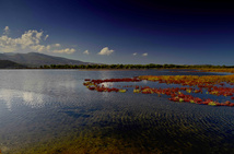 مارتشيكا.. من بحيرة منهكة إلى نموذج بيئي يعيد رسم ملامح الناظور مارتشيكا.. من بحيرة منهكة إلى نموذج بيئي يعيد رسم ملامح الناظور