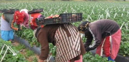 دراسة: المغربيات بالأندلس يواجهن صعوبات في الاندماج المهني دراسة: المغربيات بالأندلس يواجهن صعوبات في الاندماج المهني