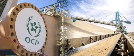 الكونغرس الأمريكي يتجه لإلغاء الرسوم على الفوسفاط.. والمغرب أكبر المستفيدين