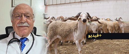 طبيب بالناظور يطمئن مرضى السكري بشأن تناول لحم الأضحية