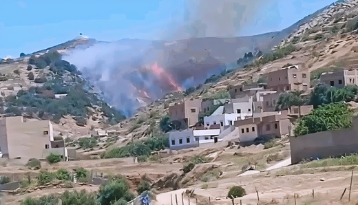 الحسيمة: حريق غابوي يستنفر السلطات ويخلف مخاوف من اتساع رقعته الحسيمة: حريق غابوي يستنفر السلطات ويخلف مخاوف من اتساع رقعته