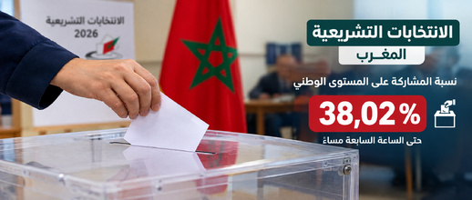 انتخاب أعضاء مجلس النواب .. معدل المشاركة على المستوى الوطني بلغ نسبة 38,02%