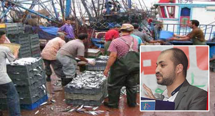 مواطنون يدعون إلى مقاطعة شراء "الأسماك" بالحسيمة والناظور وبرلماني يراسل الوزير للنظر في أثمنتها الفاحشة