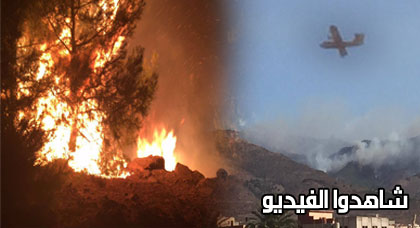 عملية إخماد الحريق بغابة كوروكو متواصلة والسلطات تستعين بطائرات الإطفاء للسيطرة على النيران عملية إخماد الحريق بغابة كوروكو متواصلة والسلطات تستعين بطائرات الإطفاء للسيطرة على النيران