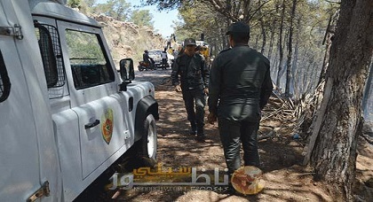 حريق "غورغو" تحت سيطرة رجال الإطفاء وأنباء عن اعتقال مهاجرين من جنوب الصحراء للتوّصل إلى أسباب اندلاع النيران حريق "غورغو" تحت سيطرة رجال الإطفاء وأنباء عن اعتقال مهاجرين من جنوب الصحراء للتوّصل إلى أسباب اندلاع النيران