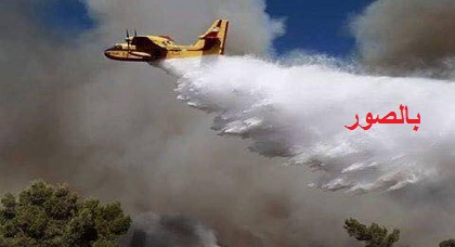 بالصور: تعرفوا على نوع الطائرات التي حلقت فوق سماء الناظور لإطفاء حريق غورغو بالصور: تعرفوا على نوع الطائرات التي حلقت فوق سماء الناظور لإطفاء حريق غورغو