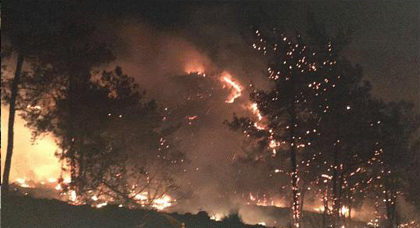 المركز الوطني لتدبير المخاطر: حريق جبل كوروكو أتى على 352 هكتارا من الأشجار والأعشاب الثانوية