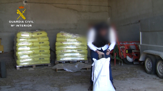 اعتقال 14 شخصا بتهمة تسمين مواشي بطريقة غير مشروعة كانت موجهة للمسلمين باسبانيا و مليلية اعتقال 14 شخصا بتهمة تسمين مواشي بطريقة غير مشروعة كانت موجهة للمسلمين باسبانيا و مليلية