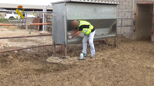 اعتقال 14 شخصا بتهمة تسمين مواشي بطريقة غير مشروعة كانت موجهة للمسلمين باسبانيا و مليلية اعتقال 14 شخصا بتهمة تسمين مواشي بطريقة غير مشروعة كانت موجهة للمسلمين باسبانيا و مليلية