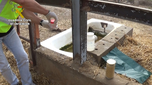 اعتقال 14 شخصا بتهمة تسمين مواشي بطريقة غير مشروعة كانت موجهة للمسلمين باسبانيا و مليلية اعتقال 14 شخصا بتهمة تسمين مواشي بطريقة غير مشروعة كانت موجهة للمسلمين باسبانيا و مليلية