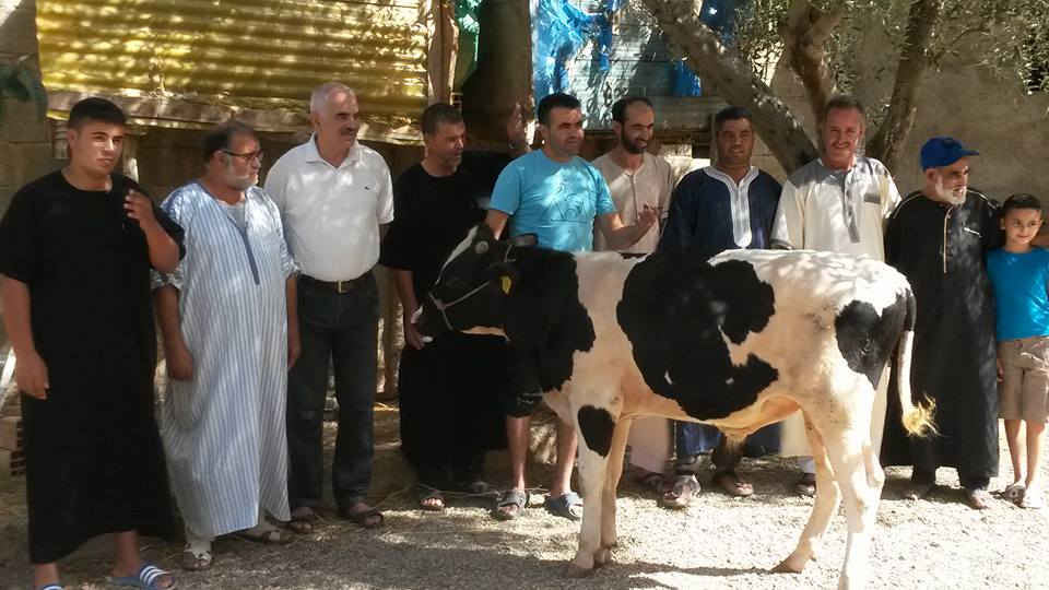 رئيس جماعة سابق نواحي تمسمان يذبح ثورا بعد إستفادة دواوير بطريق معبدة تناهز ال5 ملايير سنتيم