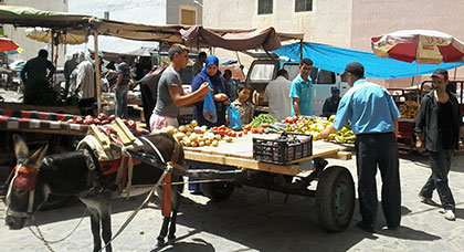 ساكنة بحيّ "أولاد ابراهيم" يستغيثون برئيس بلدية الناظور لوضع حدّ لمعاناتها اليومية مع سوق عشوائية للخضارة