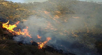 مرة أخرى.. حريق يأتي على مساحات مهمة من غابات الريف الغربي