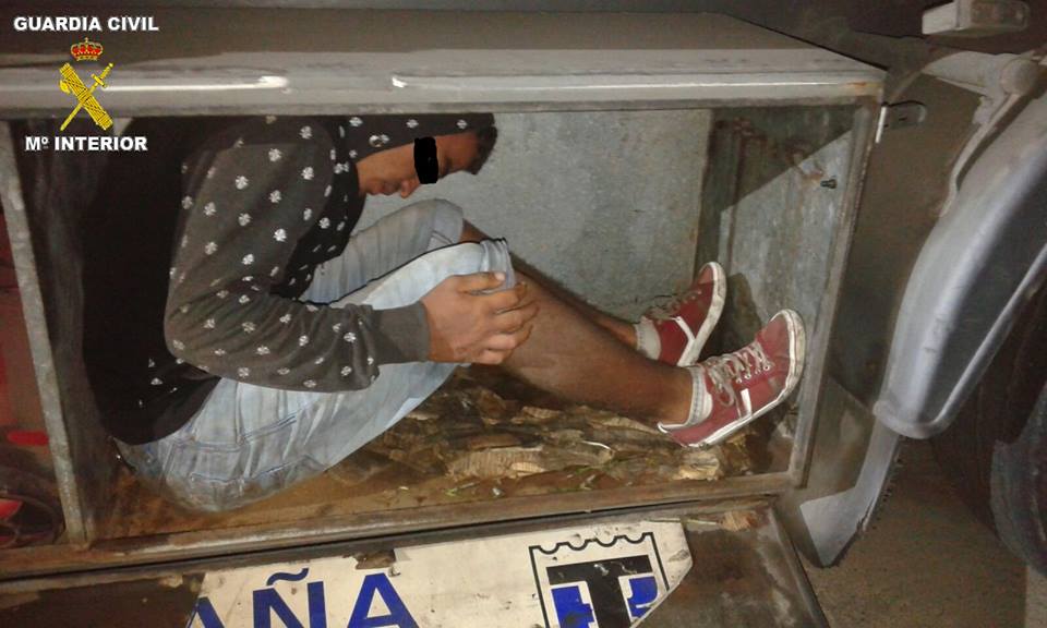 مليلية.. الكلاب المدربة تعثر على شخص مختبئا داخل شاحنة متجهة الى إسبانيا 