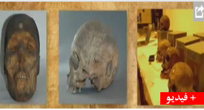 شاهدوا الفيديو.. جماجم مقاومين قطعت رؤوسهم "مخبأة" في متحف الإنسان بباريس