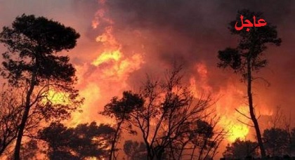 عاجل.. اندلاع حريق مهول تلتهم نيرانه مساحات كبيرة من غابة "بوعاصم" بضواحي الناظور