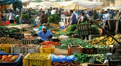 فيدرالية منتجي الخضر تطمئن المواطنين: لا ارتفاع في ثمن الخضر والفواكه