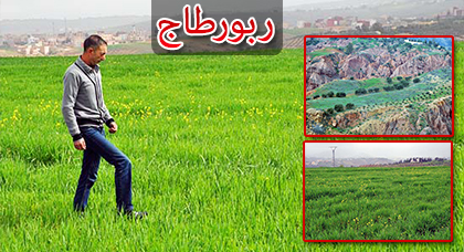 مزارعون لناظورسيتي: الأمطار أعادت "الخضرة" الى مرتفعات الريف وأسالت المياه في الأودية والسواقي  مزارعون لناظورسيتي: الأمطار أعادت "الخضرة" الى مرتفعات الريف وأسالت المياه في الأودية والسواقي