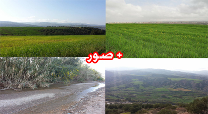 مرتفعات  تمسمان تكتسي حلة خضراء تغـري الزائرين برحلات النزهة والتخييم