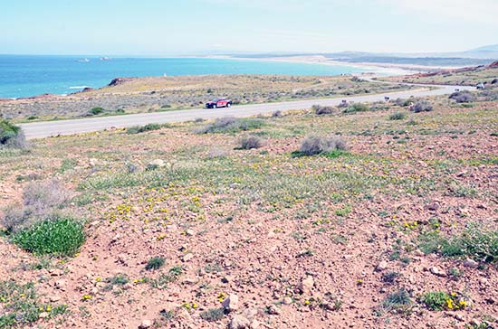 أرض للبيع بموقع إستراتيجي على الطريق الساحلي قرب ميناء غرب المتوسط بثمن جد مناسب 