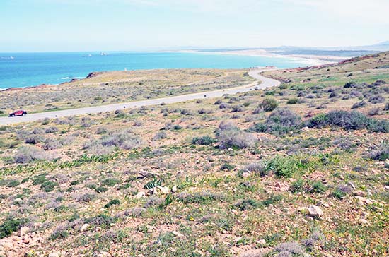 أرض للبيع بموقع إستراتيجي على الطريق الساحلي قرب ميناء غرب المتوسط بثمن جد مناسب 