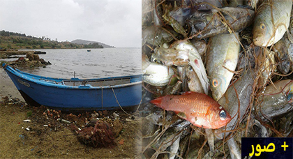 صيادون يتسببون في تدمير الحياة البحرية ببحيرة مارشيكا بهذه الطريقة