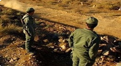 ساكنة شبه الجزيرة بأركمان تحرر شكاية ضد استعمال القوات المساعدة للكلاب الضالة المهددة لسلامة أطفالها