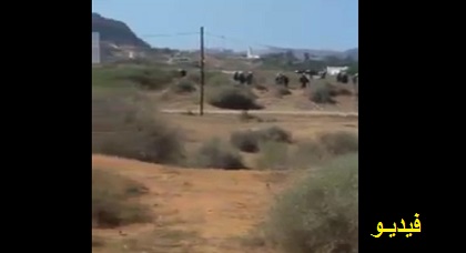 بالفيديو.. قوات الأمن تطارد شباب الحراك عبر مسالك الجبال المؤدية إلى الحسيمة