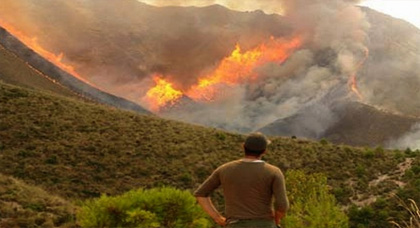 الحسيمة.. إندلاع حريق مهول بغابة بوسكور والسلطات تستعين بطائرات مروحية لإخمادها