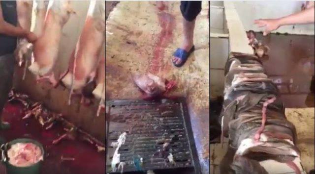 المشاهير يثورون.. هشام الكروج يتساءل عن مصير 250 مليون قدمها لتجهيز الباطوار