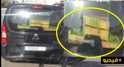 أش هادشي.. سيارة تابعة لإحدى جماعات الناظور تنقل صناديق الخضروات