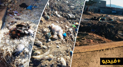 بالفيديو.. ساكنة حي النسيم بمدينة بن طيب تعيش وضعا بيئيا كارثية بسبب إنتشار النفايات 