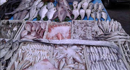 هام..  المركز المغربي لمحاربة التسمم يكشف نوعية الأسماك التي تحتوي على نسب كبيرة من الزئبق