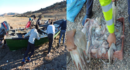 بالصور.. بحارة تمسمان يشرعون في صيد الأخطبوط بعد نهاية راحته البيولوجية الخريفية بالصور.. بحارة تمسمان يشرعون في صيد الأخطبوط بعد نهاية راحته البيولوجية الخريفية