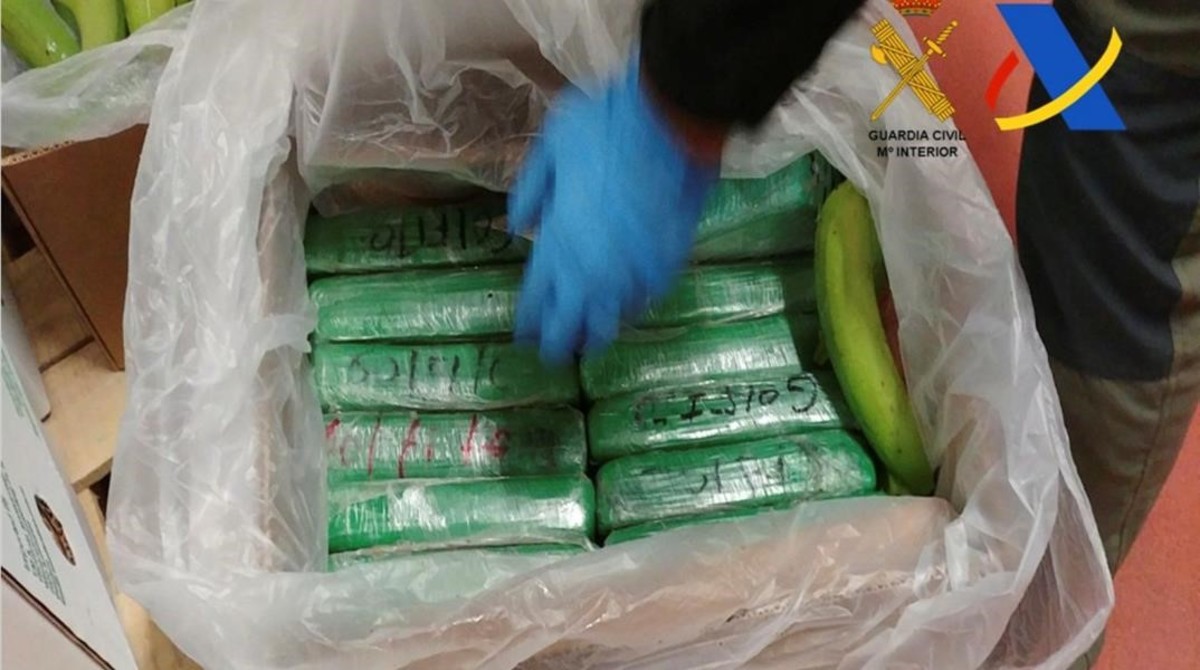بالفيديو.. حجز حوالي 6 أطنان من الكوكايين مخبأة داخل صناديق موز في ميناء الجزيرة الخضراء