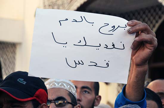 ساكنة الناظور تتضامن مع الفلسطينيين وترفض القرار  الجائر للرئيس الأمريكي 