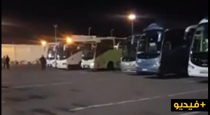 بسبب زيت الزيتون 11 حافلة للنقل الدولي عالقة بميناء بني أنصار