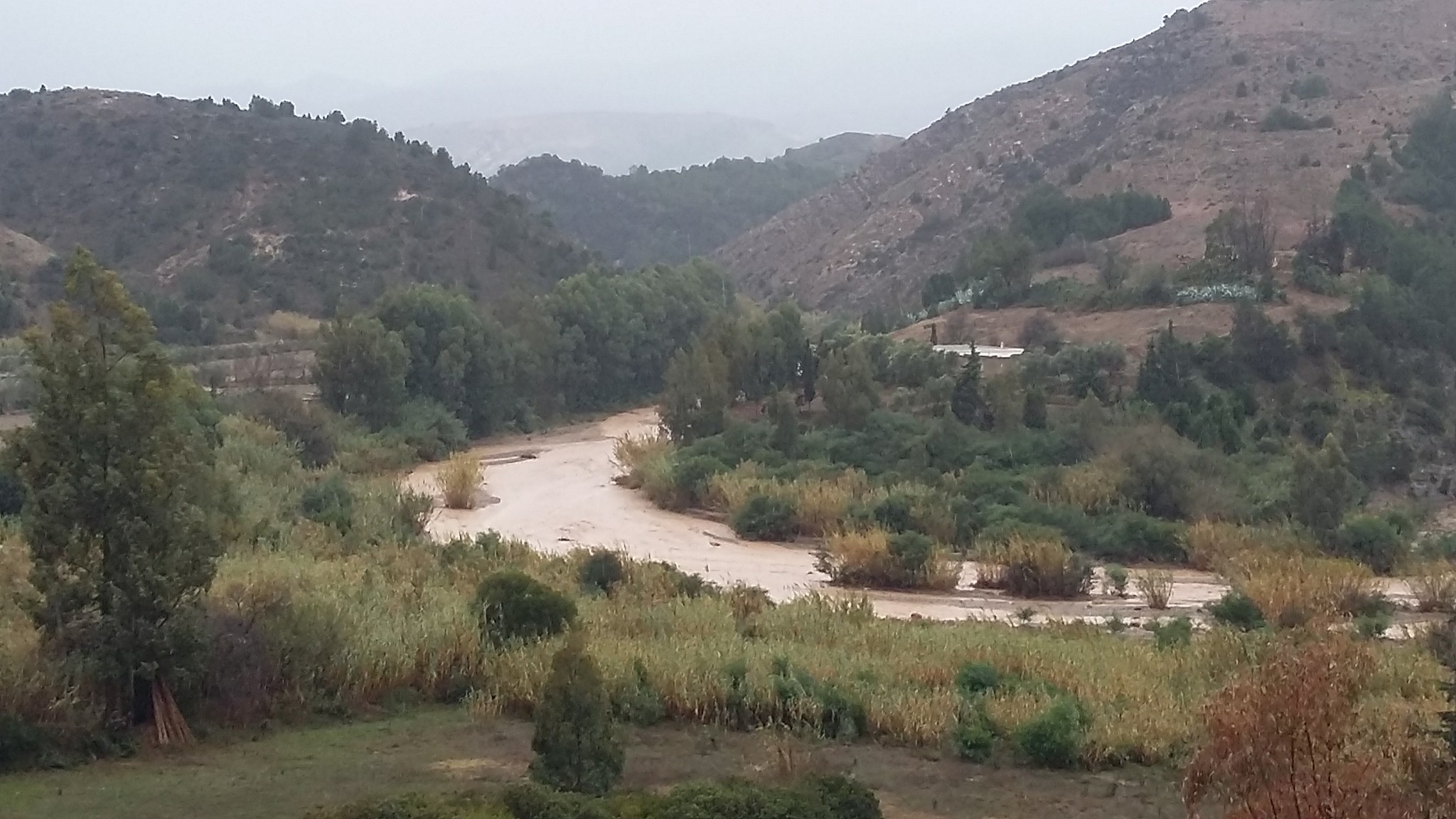 بالفيديو.. التساقطات المطرية التي عرفها الريف تحيي الأرض وتعيد المياه الى الجريان في مجموعة من الأودية 