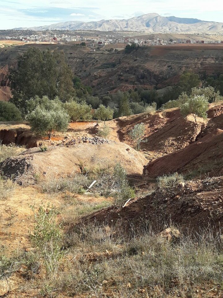 تمسمان.. مواطنون يتهمون مسؤولين بتعريض حياتهم للخطر بعد أن تركوا بئرا بعمق 35 مترا مشرعا وسط قريتهم