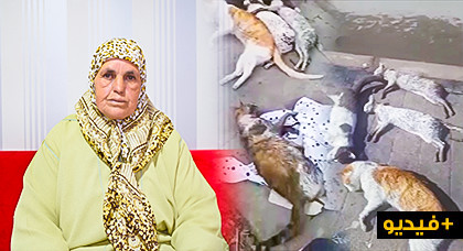 مثير: إمرأة تقاضي جارها بعد إتهامه بتسميم 5 قططها عن طريق إطعامها "السم" بالناظور