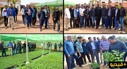 بدعم من جهة الشرق.. تعاونيات بجرادة يحلون بتزطوطين لاستنساخ تجارب فلاحية ناجحة ونقلها كبديل إقتصادي بدعم من جهة الشرق.. تعاونيات بجرادة يحلون بتزطوطين لاستنساخ تجارب فلاحية ناجحة ونقلها كبديل إقتصادي