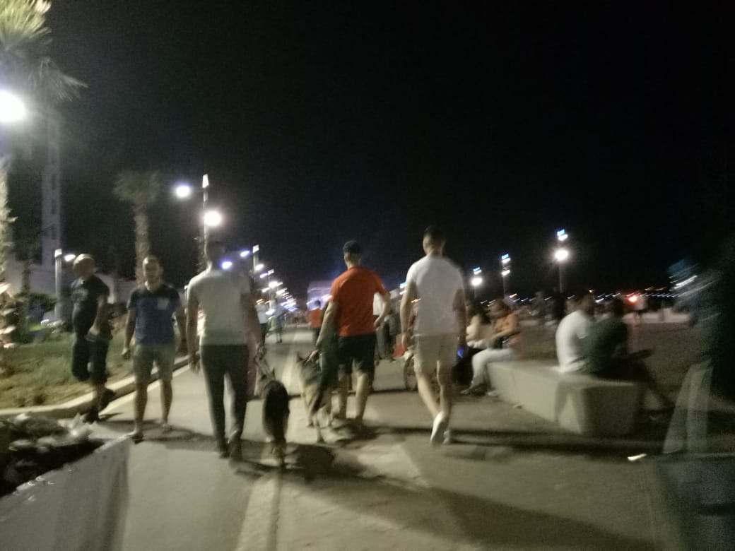 مواطنون يطالبون السلطات بمنع التجول بالكلاب في كورنيش الناظور