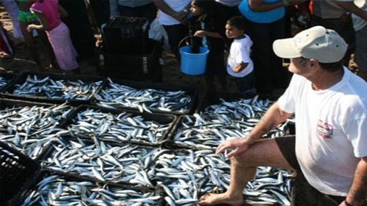 بيع السمك خارج سوق "الدلالة" من طرف التجار الوافدين على ميناء الحسيمة تثير استياء المهنيين 