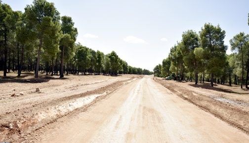 مجلس الشرق يهيئ عشرات الكيلومترات من المسالك الطرقية بإقليم جرادة مجلس الشرق يهيئ عشرات الكيلومترات من المسالك الطرقية بإقليم جرادة