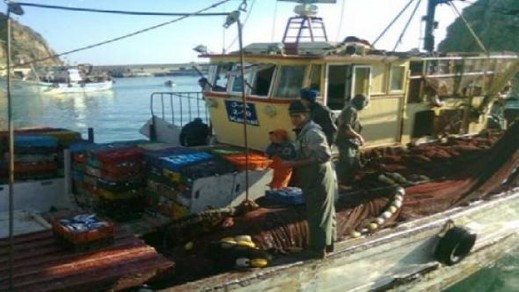 ميناء الحسيمة: تفريغ أزيد من 164 طنا من أسماك "الميرفا" وتصديرها خارج الإقليم للمعالجة والتصبير