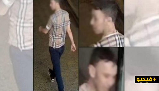 شاهدوا.. مهاجر يخطف حقيبة يد لمسنة بلجيكية والشرطة تبحث عنه 